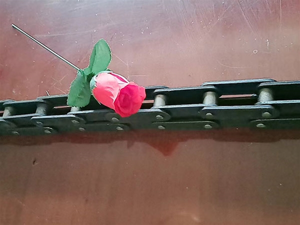 小滚子双节距链条